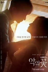 Flower of Evil: Temporadas 1