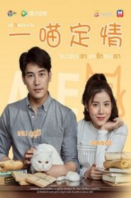 Meo, Me & You: Temporadas 1