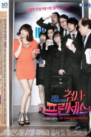 Prosecutor Princess: Temporadas 1