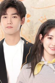 Cute Programmer: temporada 1