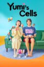 Yumi’s Cells