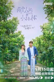 A Romance of the Little Forest: Temporada 1
