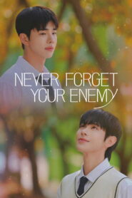 Never Forget Your Enemy: Temporada 1