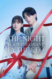 The Night I Got Pregnant By the CEO: Temporada 1