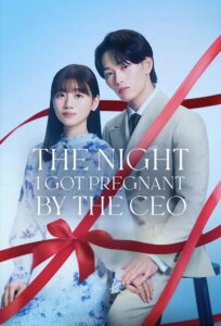 The Night I Got Pregnant By the CEO: Temporada 1